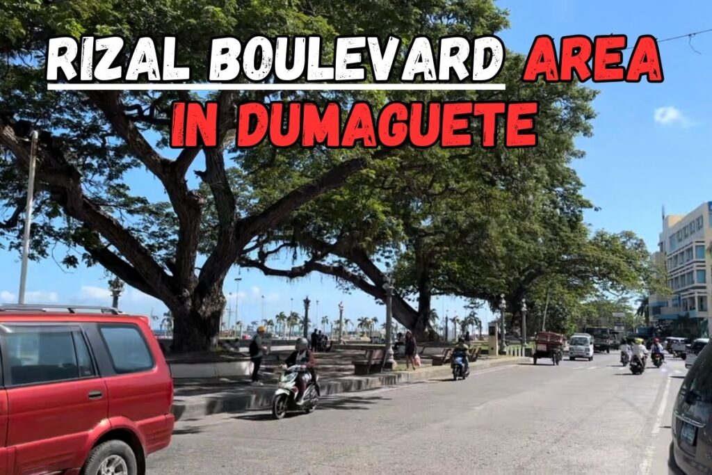 Rizal Boulevard in Dumaguete City, Negros Island, Philippines during daytime.