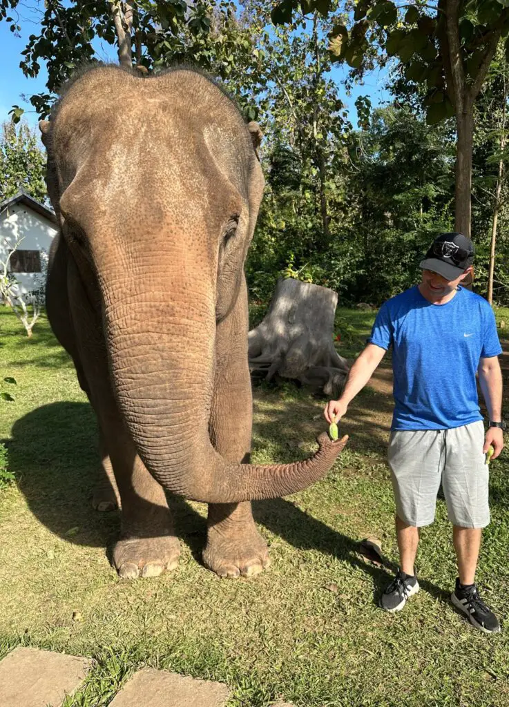 American feeding the elephants at a sanctuary in Luang Prabang, Laos.